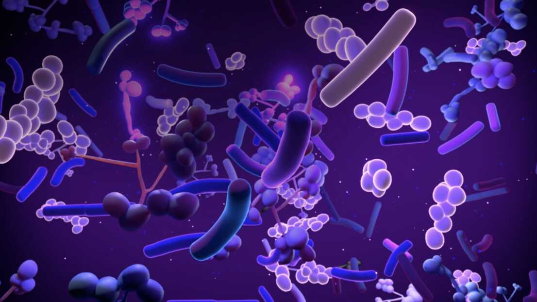 Cartoon image of bacteria