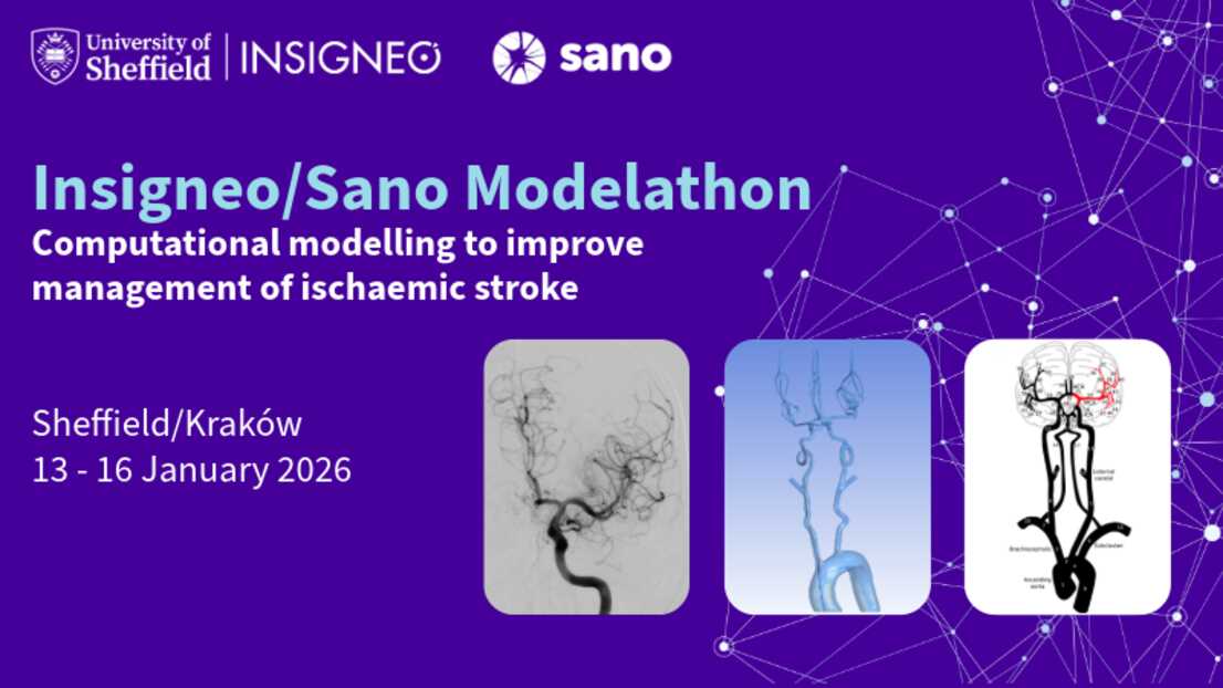 Insigneo event graphic - Insigneo/Sano Modelathon Computational modelling to improve management of ischaemic stroke    Sheffield/Kraków13 - 16 January 2026