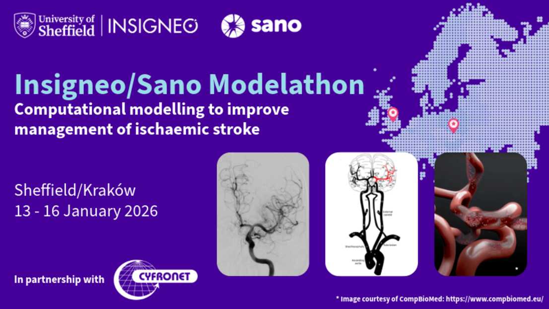 Insigneo event graphic - Insigneo/Sano Modelathon Computational modelling to improve management of ischaemic stroke    Sheffield/Kraków13 - 16 January 2026