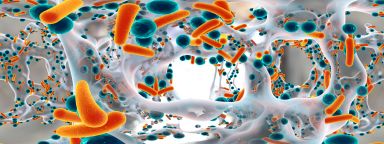 Biofilm of antibiotic resistance bacteria