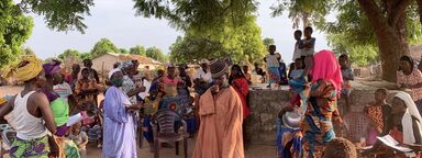 GSD - Projects - Reproductive health