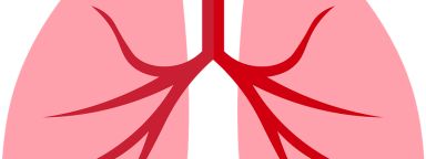 A cartoon drawing of lungs, in pink