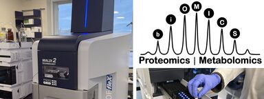 MS_Lab