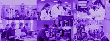 violet hue over researchers 