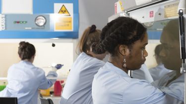 Image of postgraduate Molecular Biology and Biotechnology students using equipment in lab