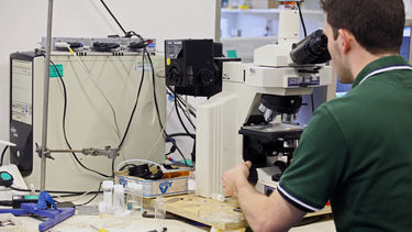 Postgraduate physics student working with microscope and equipment