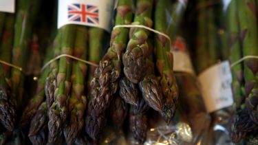 Sustainable food asparagus