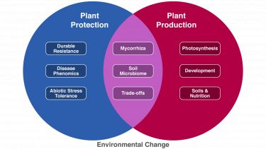 Plant protection, production, environment venn