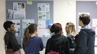 Students looking at a notice board