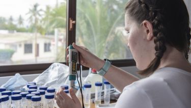 Student participating in fieldwork in a laboratory in the Galapagos