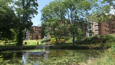 Endcliffe Pond