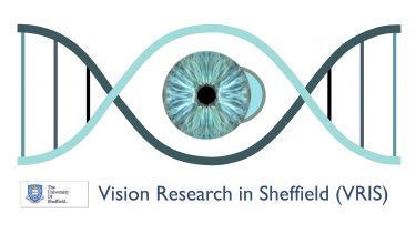The logo for Vision Research in Sheffield. 
