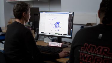 Researchers analyse their NMR results