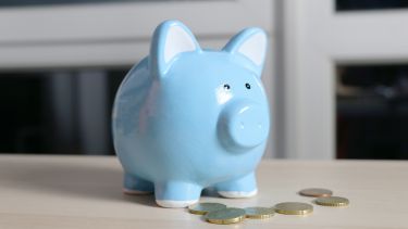 Image of a blue piggy bank and some coins