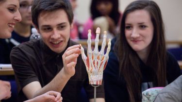 A group of medical students studying hand anatomy.