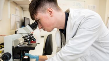 A postgraduate student looking into a microscope