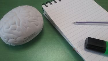 Brain and pens