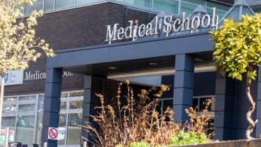 The Medical School on a sunny day. Foliage in front. 