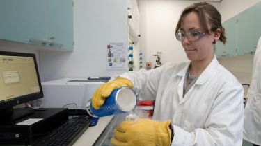 A researcher in the Ultrafast Laser Spectroscopy Laboratory