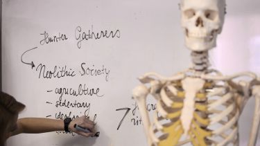 A lifesize skeleton replica in front of a whiteboard containing keywords to do with the prehistoric era.