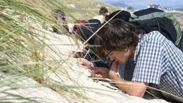 Students taking samples of sand on a beach