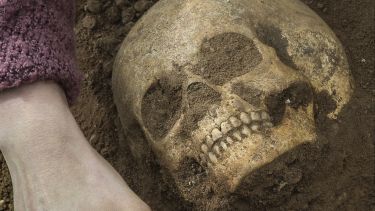 A human skull is unearthed at a dig site.
