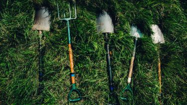 Shovels and garden forks lying on the grass