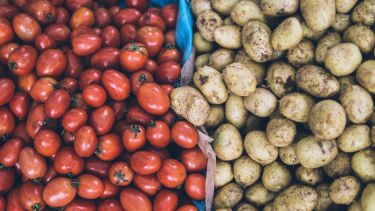 Two containers side by side containing potatoes and tomatoes