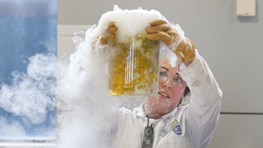 A chemist conducting a bucky ball experiemtn in a school - image 