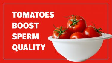 Tomatoes boost sperm quality header image