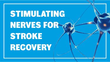 Stroke recovery header image