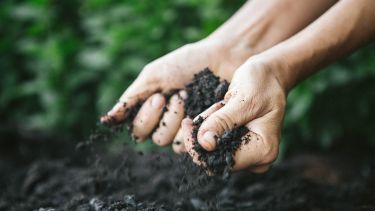 Picture of two hands picking up soil and letting it fall through their fingers