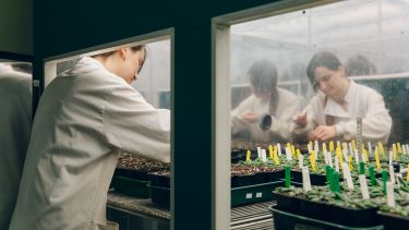 Student tending plants in growth chamber