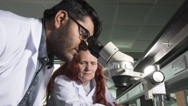 Two archaeology students using a microscope