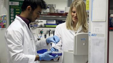 Students in a lab