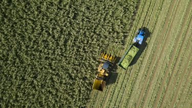 Ariel picture of a field of crops being harvested by two tractors
