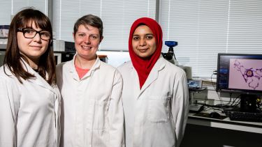 The Department of Infection, Immunity and Cardiovascular Disease lab. Three female students pose for the camera in lab coats.