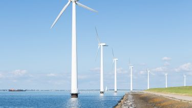 An offshore wind farm. 