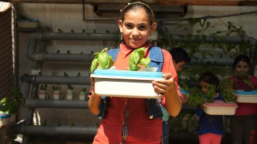 Young girl holding basil plants
