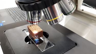 Examining a section of caramel wafer bar using an optical microscope