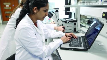 Two bioengineering students working at a laptop and microscope