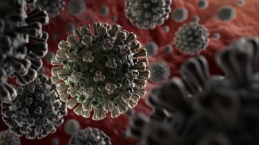 Microscopic illustration of the coronavirus that was discovered in Wuhan, China - iimage is an artisic but scientific interpretation, with all relevant surface details of this particular virus in place