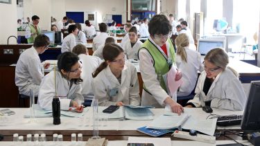 Students in an undergraduate teaching laboratory