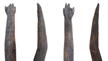 Roman wooden arm artefact