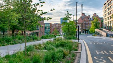 Grey to Green, Sheffield