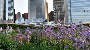 An urban public garden