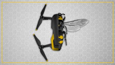 Illustration showing bee and drone technology