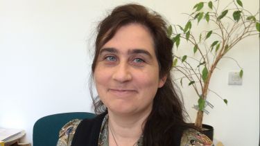 Professor Julia Weinstein