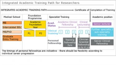 Integrated Academic Training Pathway diagram