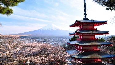 View of Pagoda with Mount fuji in background